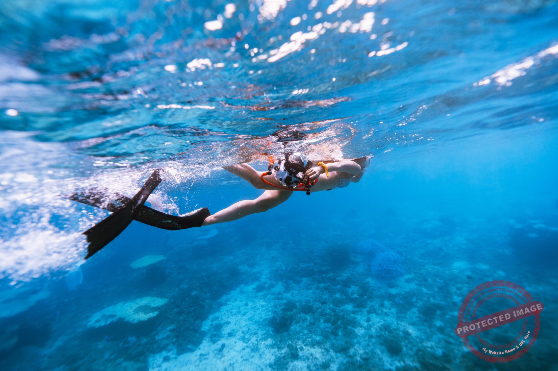 바다에서 스노클링하는 모습