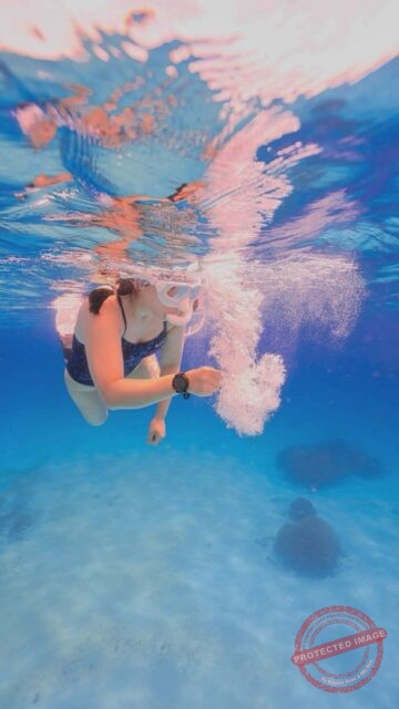 Aire Bohol tour🏝️
Day1🎶
발리카삭 다이빙🐢 거북이들 반가웠어🙌🏻
인솔 Aire @se.a._ x @gyulily
다음투어는 어디로 가게요~?☺️♥️