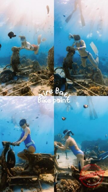 5월 아이레다이브의 발리 길리섬 투어 사진 🏝️🎶
바이크 포인트는 포토스팟으로 좋아요📸
바이크에서 촬영할 때에는 구조물에 상처가 나지 않게 조심하기.
발리도 보홀도 아이레와 함께🫶🏻
다음은 해양 정화하러 양양가자~🫧🧹
인솔강사&photo @lee_jung_pyo x @se.a._
#발리#길리섬#아이레프리다이빙#아이레다이브#프리다이빙#머매이드다이빙