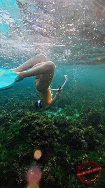 머메이드가 보홀 바다에 가면🧜🏻♀️
동화가 현실이 될 수 있어요🏝️🎶
아이레에서 머메이드 다이빙 배우고 해외 바다 같이 가요🌊
Model 아이레 대표인어 @gyulily 강사님
Video @se.a._
#아이레프리다이빙#아이레다이브#머메이드다이빙#머메이드