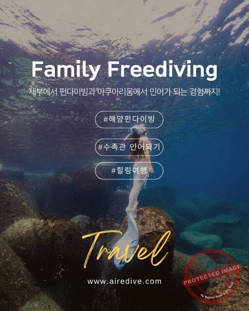 🌴 아이레 Family 프리다이빙 세부 투어
“바다를 사랑하는 가족을 위한 가장 특별한 여행”
🗓️일정: 12월19일(목) ~ 12월21(일)
🧜🏻♀️인솔: 아이레. 김규리 강사님
🐬 이번 투어의 하이라이트
① 가족 모두 함께하는 해양 펀다이빙
세부의 푸른 바다 위 방카보트를 타고 맑은 수중에서 부모님과 아이가 함께 프리다이빙을 즐겨요. 갇혀있는 공간이 아닌, 대자연 바로 눈앞에 펼쳐지는 열대 어류들의 모습은 아이들에게 평생 잊지 못할 경험이 될 거예요.
② 동화 속 인어 체험 – 오션파크 아쿠아리움 다이빙
아쿠아리움 속에서 인어로 변신하기!
아이들은 실제 머메이드 테일을 착용하고, 유리창 너머로 가족이 응원하는 모습을 볼 수 있어요. 머메이드 강사님인 김규리강사님이 직접 함께 들어가 안전하게 인어 체험을 돕습니다.
📸 인솔 촬영이 포함되어 있으니,
꿈속 같은 장면을 그대로 기록해드릴 거예요.아이들에게 평생 남은 기억을 선물하세요.
③ 자유로운 가족 일정과 힐링 타임
투어 마지막 날에는 오션파크 체험 후 씨사이드 쇼핑몰에서 점심과 쇼핑을 즐기세요. 저녁엔 여유로운 휴식 후 레이트 체크아웃으로 마무리됩니다.
💌문의는 DM주세요💙
#아이레프리다이빙#세부투어#패밀리프리다이빙#어린이프리다이빙#프리다이빙#머메이드체험#주니어머메이드#프리다이빙여행#아쿠아리움다이빙#가족여행추천#바다여행#airedive