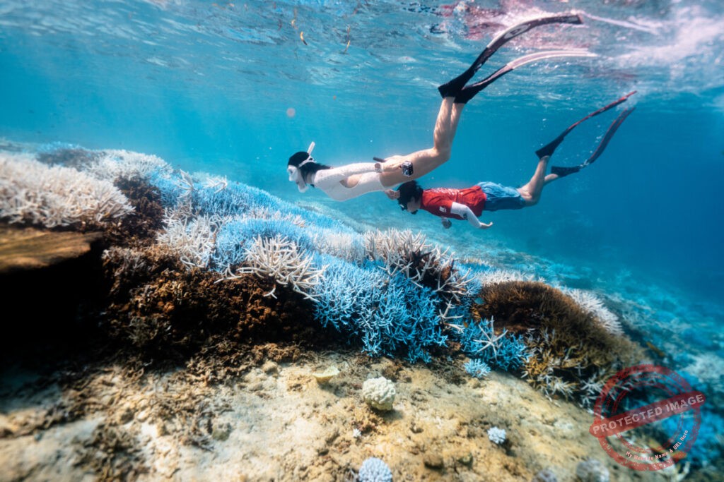 안전한 스노클링을 배우면 완전히 다른 바다가 보입니다!