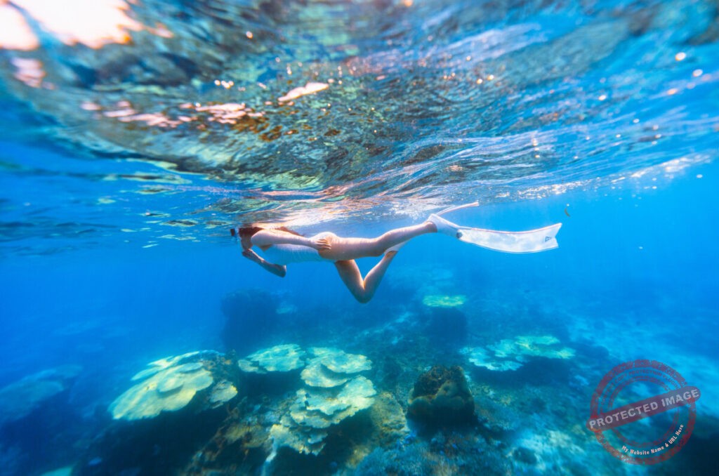 스노클링 사고?