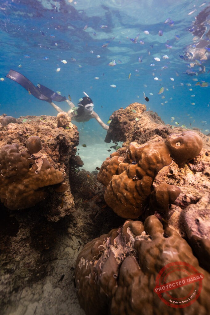 아이레다이브 스노클링