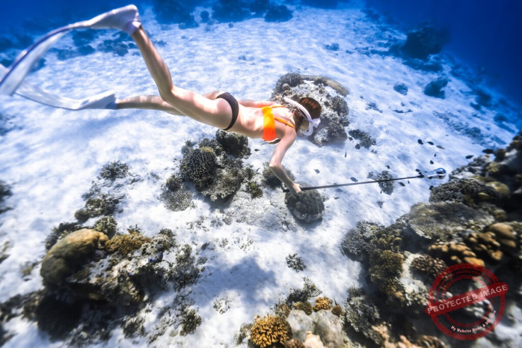 아이레다이브 스노클링
